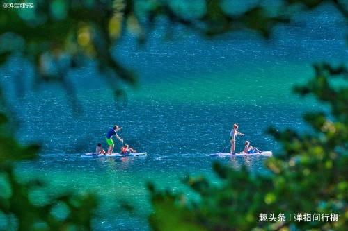 全民剧本大师内置菜单